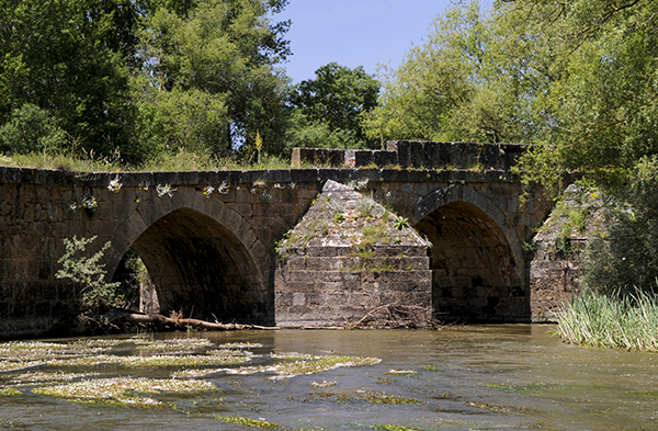 El expediente del puente de Andaluz, pendiente de la respuesta de la Consejería de Fomento y Medio Ambiente El expediente del puente de Andaluz, pendiente de la respuesta de la Consejería de Fomento y Medio Ambiente