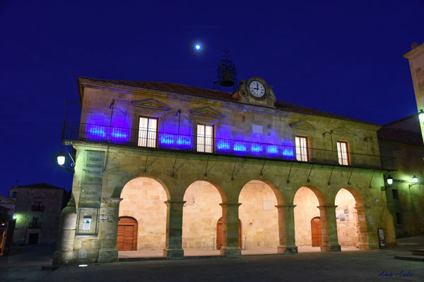 El Palacio de la Audiencia se tiñe de azul para concienciar sobre el autismo El Palacio de la Audiencia se tiñe de azul para concienciar sobre el autismo