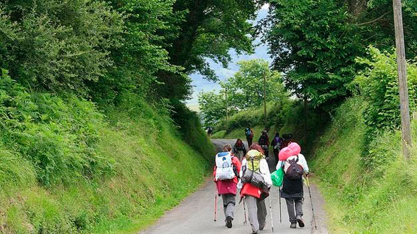 Proyecto único de reciclaje de envases en el Camino de Santiago Proyecto único de reciclaje de envases en el Camino de Santiago
