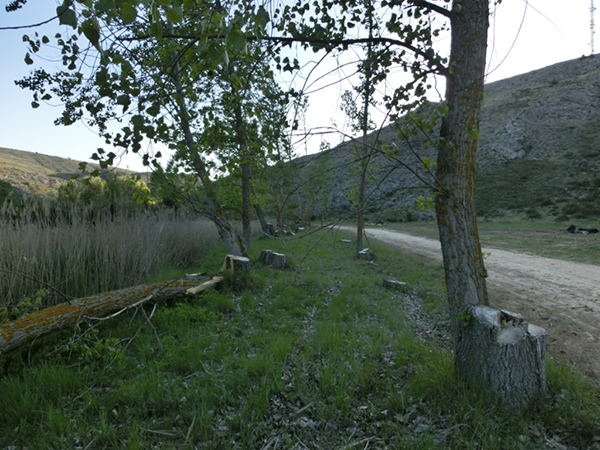 ASDEN concede el premio Atila a los responsables de la tala en el río Abión ASDEN concede el premio Atila a los responsables de la tala en el río Abión