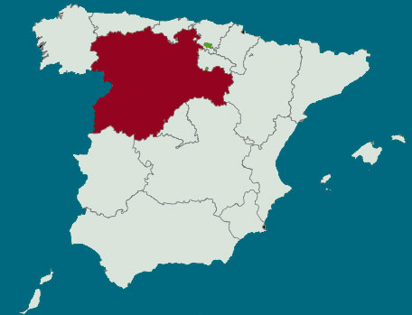 Castilla y León crecerá un 3,4 por ciento en 2015, según Funcas Castilla y León crecerá un 3,4 por ciento en 2015, según Funcas