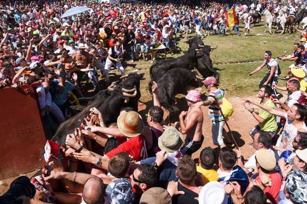 La Federación de Tauromaquia Popular de Castilla y León arranca con treinta colectivos La Federación de Tauromaquia Popular de Castilla y León arranca con treinta colectivos