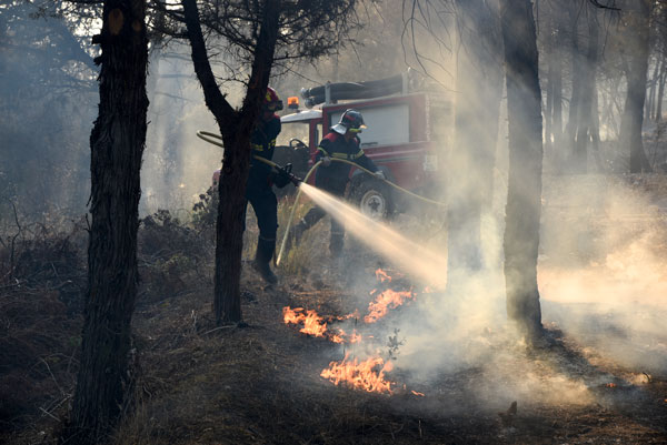 Un centenar de personas combaten un incendio de nivel 2 en Barcebalejo Un centenar de personas combaten un incendio de nivel 2 en Barcebalejo