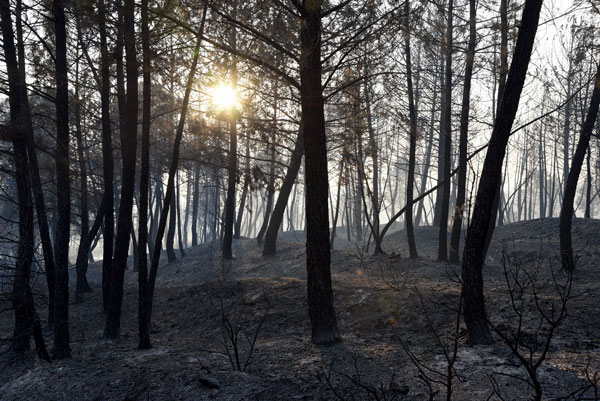 El incendio de Barcebalejo baja a nivel 1 El incendio de Barcebalejo baja a nivel 1