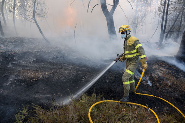 El Consejo de Ministros declara el incendio de Barcebalejo como zona de actuación inmediata El Consejo de Ministros declara el incendio de Barcebalejo como zona de actuación inmediata