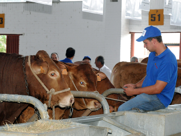 Agricultura y Ganadería abre una línea de trabajo con las asociaciones de criadores de razas puras Agricultura y Ganadería abre una línea de trabajo con las asociaciones de criadores de razas puras