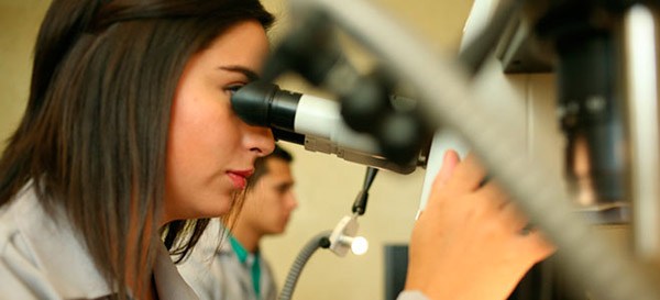 La UVa convoca 35 becas para facilitar las tareas de investigación a los alumnos La UVa convoca 35 becas para facilitar las tareas de investigación a los alumnos