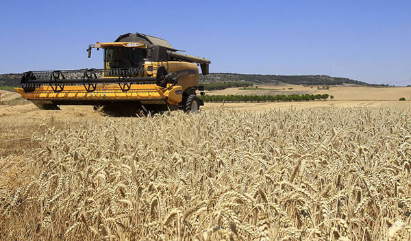 Casi 78.000 agricultores y ganaderos pueden consultar desde hoy el pago básico de la nueva PAC Casi 78.000 agricultores y ganaderos pueden consultar desde hoy el pago básico de la nueva PAC