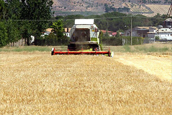 La Junta abonará desde mañana el pago de la nueva PAC La Junta abonará desde mañana el pago de la nueva PAC