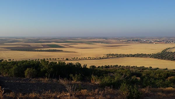 ASAJA Soria respalda una norma conjunta para garantizar un equilibrio en las prácticas agrarias ASAJA Soria respalda una norma conjunta para garantizar un equilibrio en las prácticas agrarias