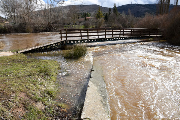 La CHD confirma que el río Duero tiende a la normalidad La CHD confirma que el río Duero tiende a la normalidad