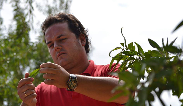ASAJA constata que por fin se paga a los jóvenes agricultores ASAJA constata que por fin se paga a los jóvenes agricultores