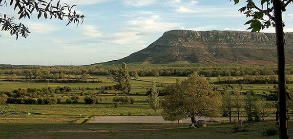 La Junta celebra el Día del Árbol en el Arboreto de Valonsadero La Junta celebra el Día del Árbol en el Arboreto de Valonsadero