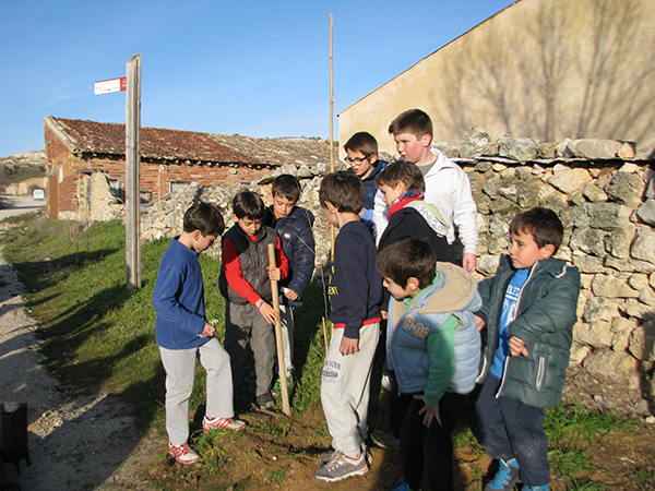 Los niños plantan olmos en Miño de San Esteban de Gormaz Los niños plantan olmos en Miño de San Esteban de Gormaz