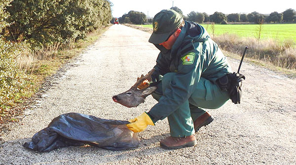 La Junta intensifica los controles en la temporada de caza y de pesca La Junta intensifica los controles en la temporada de caza y de pesca