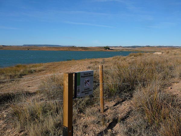 Expertos internacionales debatirán sobre la gestión de los ríos y los humedales de la Red Natura 2000 Expertos internacionales debatirán sobre la gestión de los ríos y los humedales de la Red Natura 2000