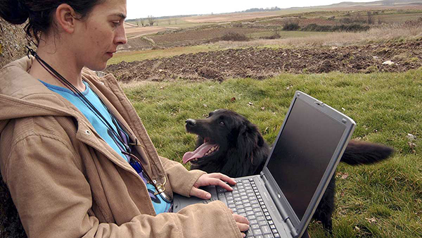 Casi ocho de cada diez castellano-leoneses utiliza Internet Casi ocho de cada diez castellano-leoneses utiliza Internet
