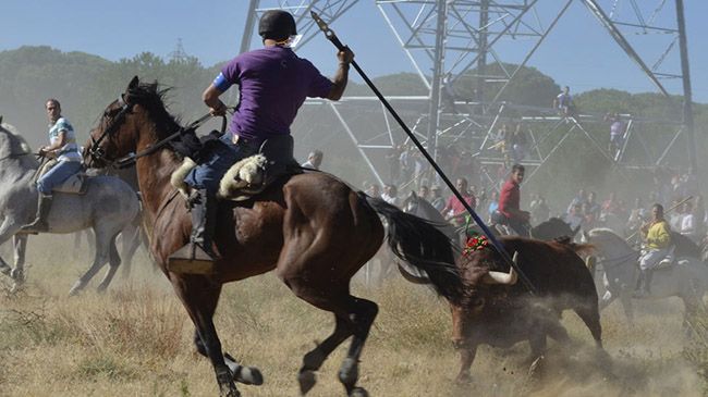 El Patronato del Toro de la Vega declarará "persona non grata" a la Junta El Patronato del Toro de la Vega declarará "persona non grata" a la Junta