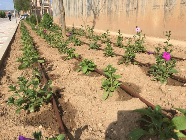 El Burgo de Osma amplía el riego por goteo en sus jardines El Burgo de Osma amplía el riego por goteo en sus jardines