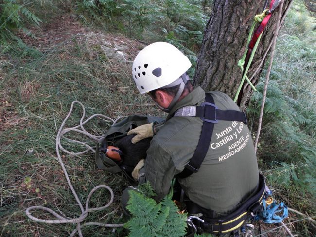 CSI-F pide a la Junta que negocie las retribuciones de las guardías del personal medioambiental CSI-F pide a la Junta que negocie las retribuciones de las guardías del personal medioambiental
