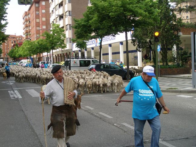 "Somos trashumantes" recreará en julio en Oncala la vida pastorial "Somos trashumantes" recreará en julio en Oncala la vida pastorial