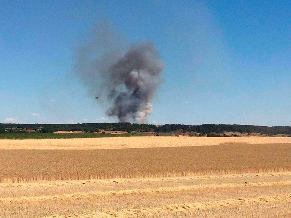 El incendio de Fuentepinilla se salda con 14,6 hectáreas calcinadas El incendio de Fuentepinilla se salda con 14,6 hectáreas calcinadas