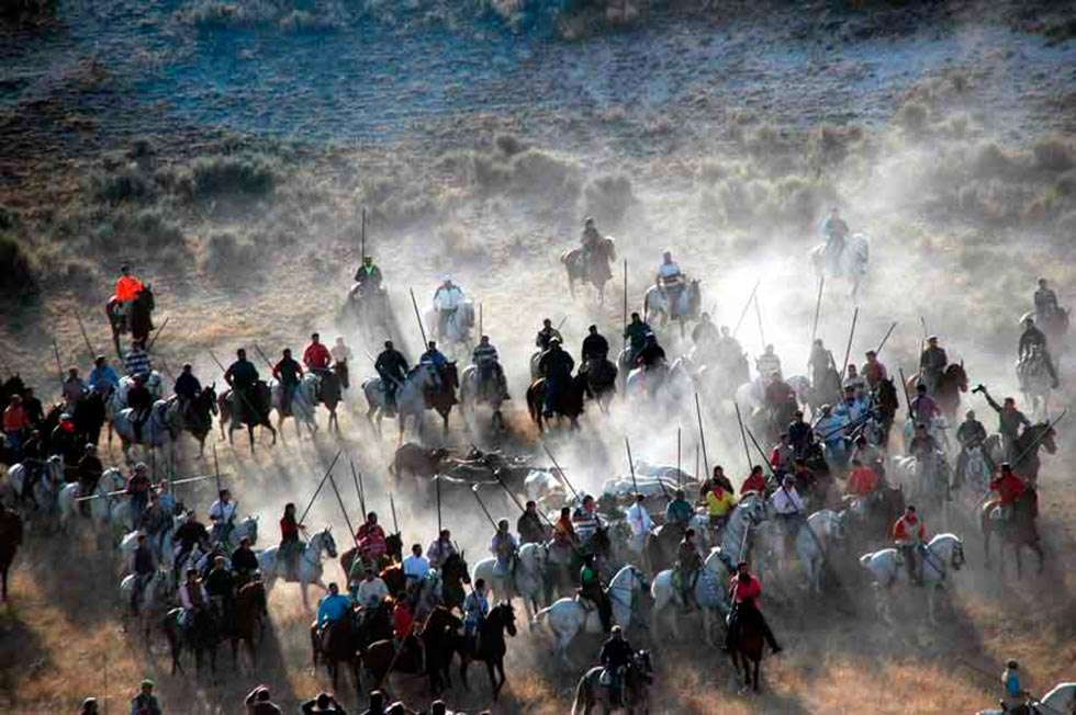 Cuéllar limita el número de caballistas en sus encierros Cuéllar limita el número de caballistas en sus encierros