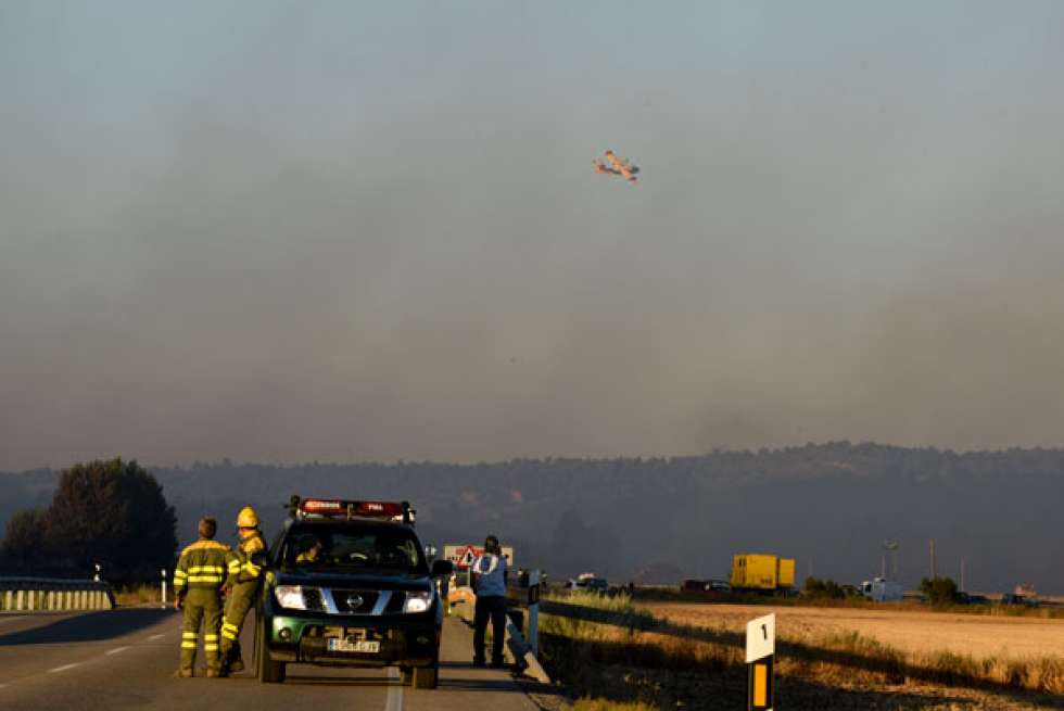 El Magrama finaliza la restauración de los daños producidos por incendio forestal en Barcebalejo El Magrama finaliza la restauración de los daños producidos por incendio forestal en Barcebalejo