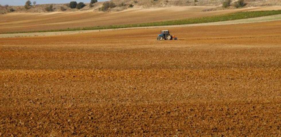 CSI-F reivindica el papel de la mujer en el ámbito rural CSI-F reivindica el papel de la mujer en el ámbito rural