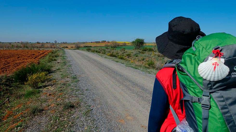 Crece el número de peregrinos que recorren el Camino de Santiago Crece el número de peregrinos que recorren el Camino de Santiago