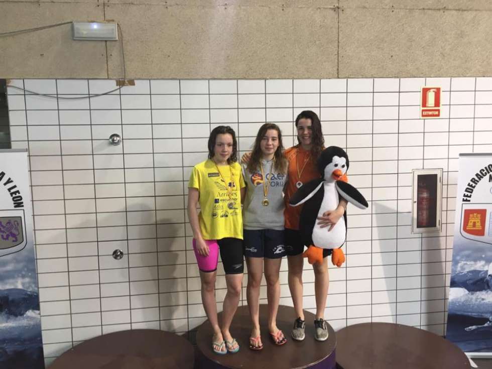 Cuatro medallas, balance final de la natación soriana en Valladolid Cuatro medallas, balance final de la natación soriana en Valladolid