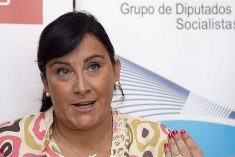 El PSOE regional se posiciona en contra de la vaquería de Noviercas El PSOE regional se posiciona en contra de la vaquería de Noviercas