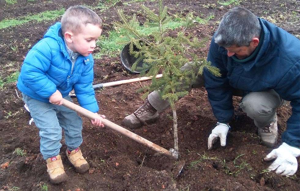 El Aula del Bosque planta 200 árboles para celebrar el Día Forestal Mundial El Aula del Bosque planta 200 árboles para celebrar el Día Forestal Mundial