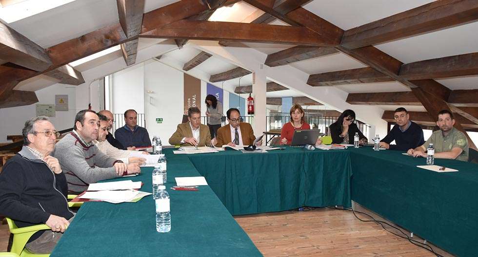 El acebal de Garagüeta recibe una media anual de 20.000 visitantes El acebal de Garagüeta recibe una media anual de 20.000 visitantes