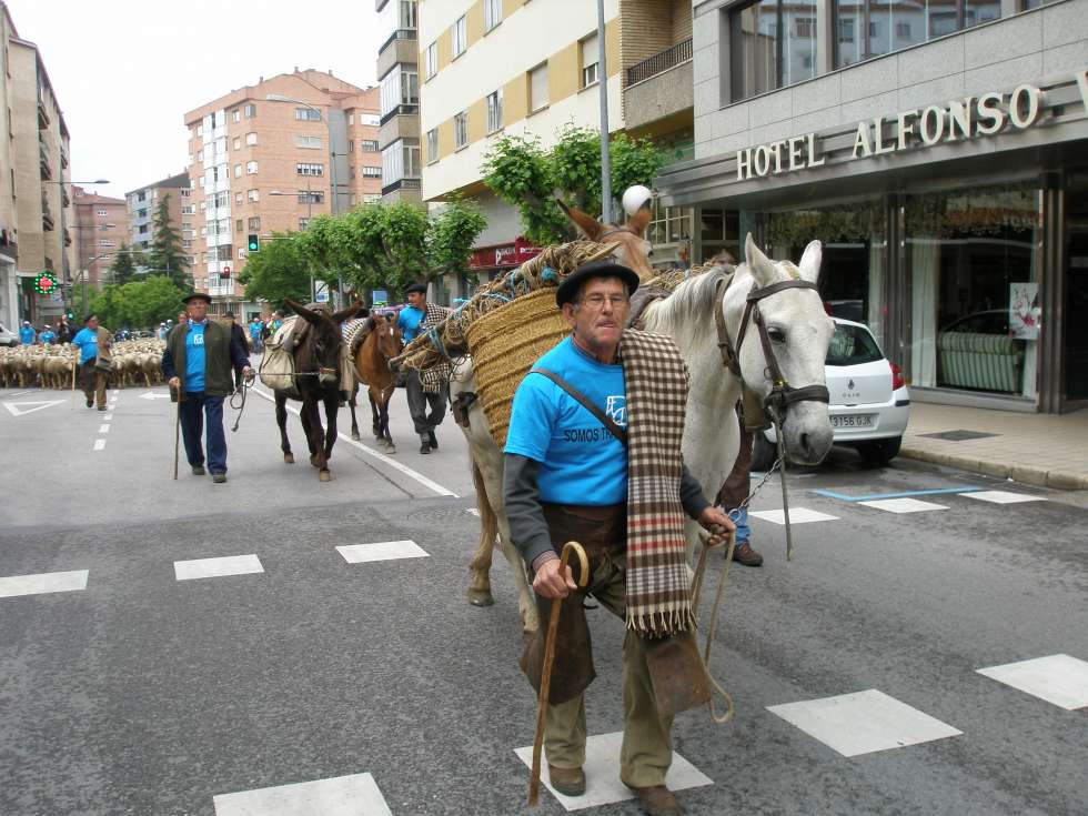"Somos trashumantes" llega este año del 9 al 11 de junio "Somos trashumantes" llega este año del 9 al 11 de junio