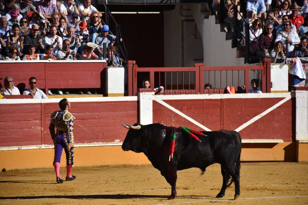 Desierto el XXXI Trofeo Celtiberia de las feria taurina de San Juan Desierto el XXXI Trofeo Celtiberia de las feria taurina de San Juan