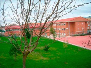 El Burgo de Osma convoca seis ayudas de 750 euros para el estudio El Burgo de Osma convoca seis ayudas de 750 euros para el estudio