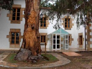 Tres propuestas del Aula del Bosque del Amogable para este otoño Tres propuestas del Aula del Bosque del Amogable para este otoño
