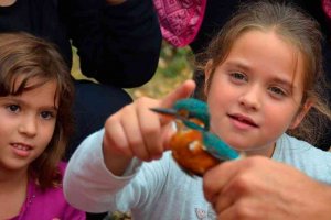 Avifauna en Yanguas, con avistamiento y anillamiento de pájaros Avifauna en Yanguas, con avistamiento y anillamiento de pájaros