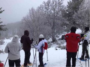 Rutas con raquetas de nieve en el parque de la Laguna Negra Rutas con raquetas de nieve en el parque de la Laguna Negra