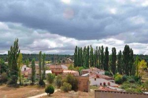 La asociación Gaya Nuño limpia tres montes de Tardelcuende La asociación Gaya Nuño limpia tres montes de Tardelcuende