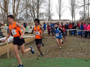 Participación soriana en el Campeonato de campo a través en Edad Escolar Participación soriana en el Campeonato de campo a través en Edad Escolar