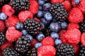 La plantación de frutos del bosque necesita impacto ambiental La plantación de frutos del bosque necesita impacto ambiental