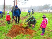 Plantación para conmemorar el Día Forestal Mundial Plantación para conmemorar el Día Forestal Mundial