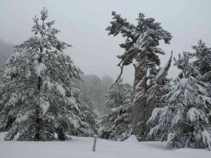 El valle del nacimiento del Duero, sepultado por la nieve El valle del nacimiento del Duero, sepultado por la nieve
