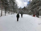 El hielo y la nieve impiden abrir los accesos a la Laguna Negra El hielo y la nieve impiden abrir los accesos a la Laguna Negra