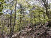 Ágreda habilita una nueva senda para subir al Moncayo Ágreda habilita una nueva senda para subir al Moncayo