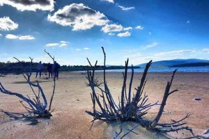 Podemos rechaza macrogranja porcina junto a embalse Podemos rechaza macrogranja porcina junto a embalse