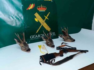 Denunciados dos furtivos de Córdoba con tres cabezas de corzo Denunciados dos furtivos de Córdoba con tres cabezas de corzo