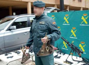 El SEPRONA formuló 1.164 infracciones administrativas en 2017 El SEPRONA formuló 1.164 infracciones administrativas en 2017